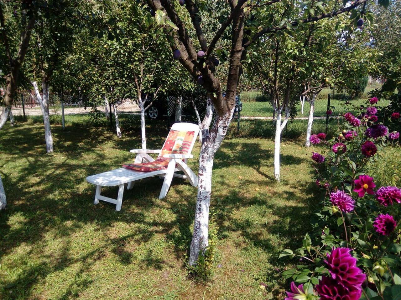 Sunny Paradise Bihać Exterior foto